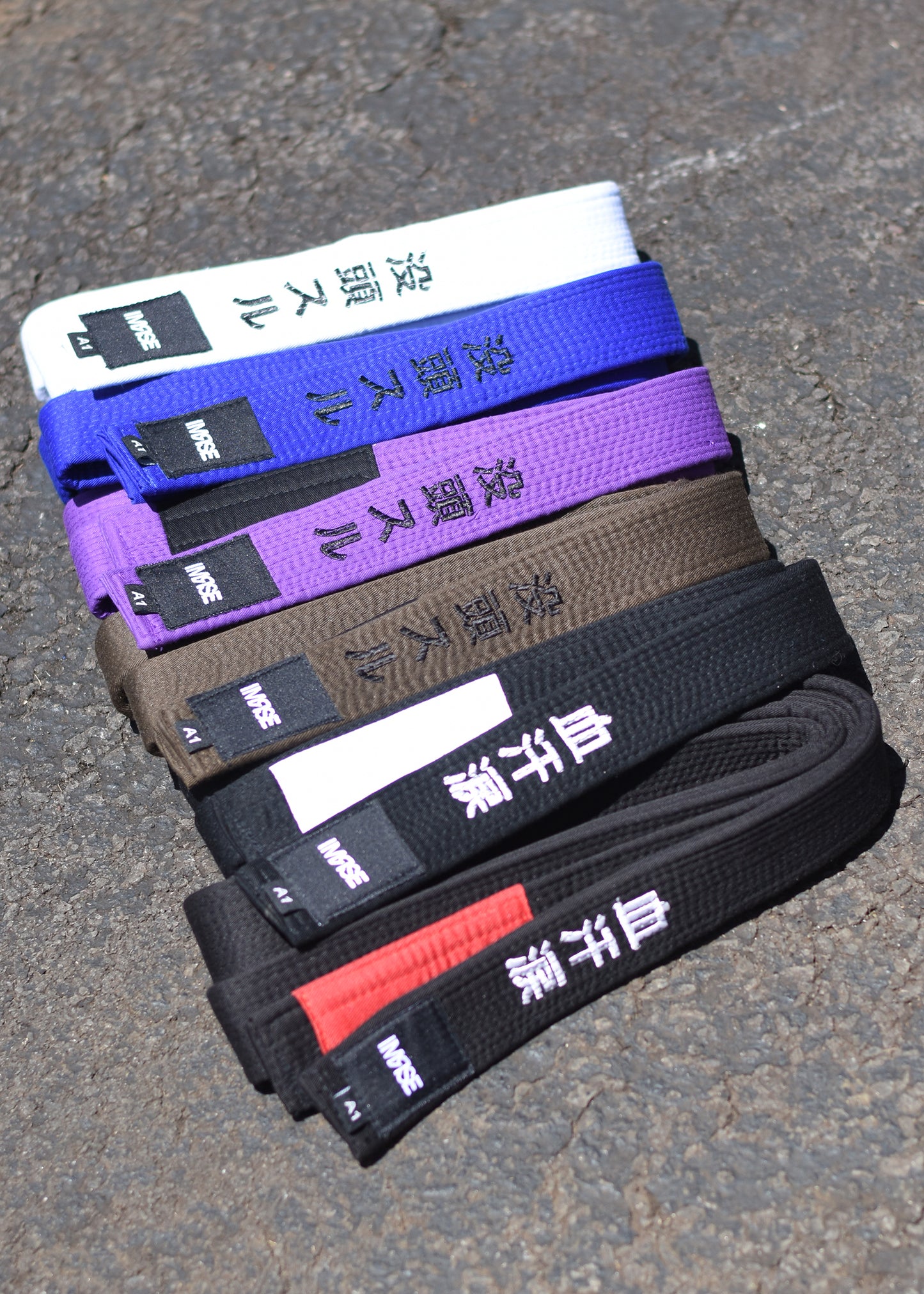Everyday BJJ Belt